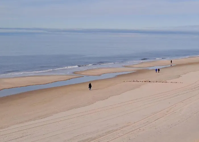 Kiewitt Διαμέρισμα